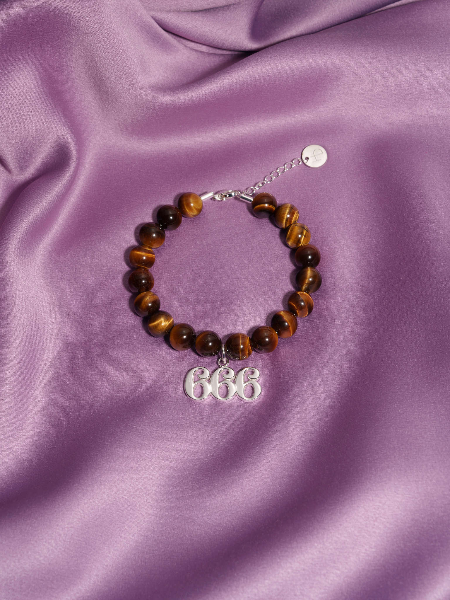 666 Tiger's Eye Silver Charm Bracelet